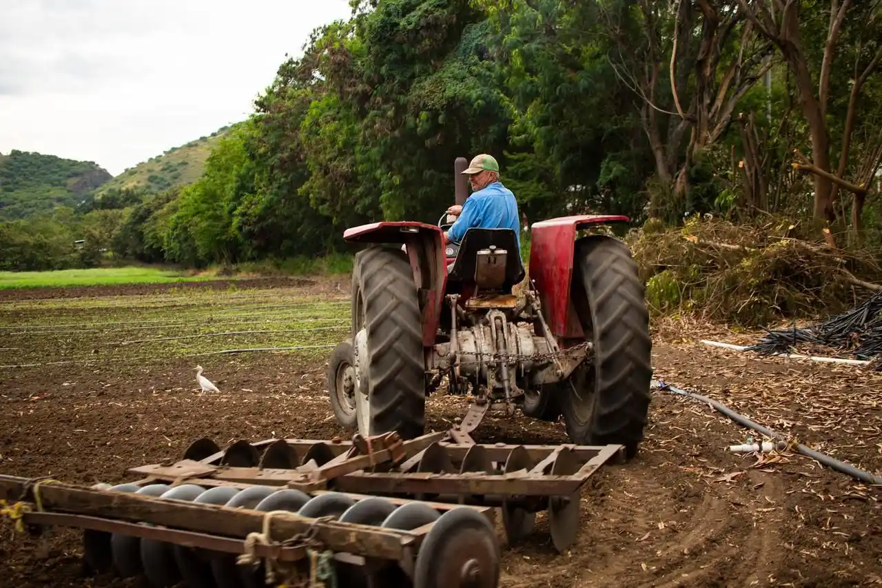 Image from Bancolombia Noticias : *Reconociendo el valor del agro*. Este 2 de junio se celebra el día de...