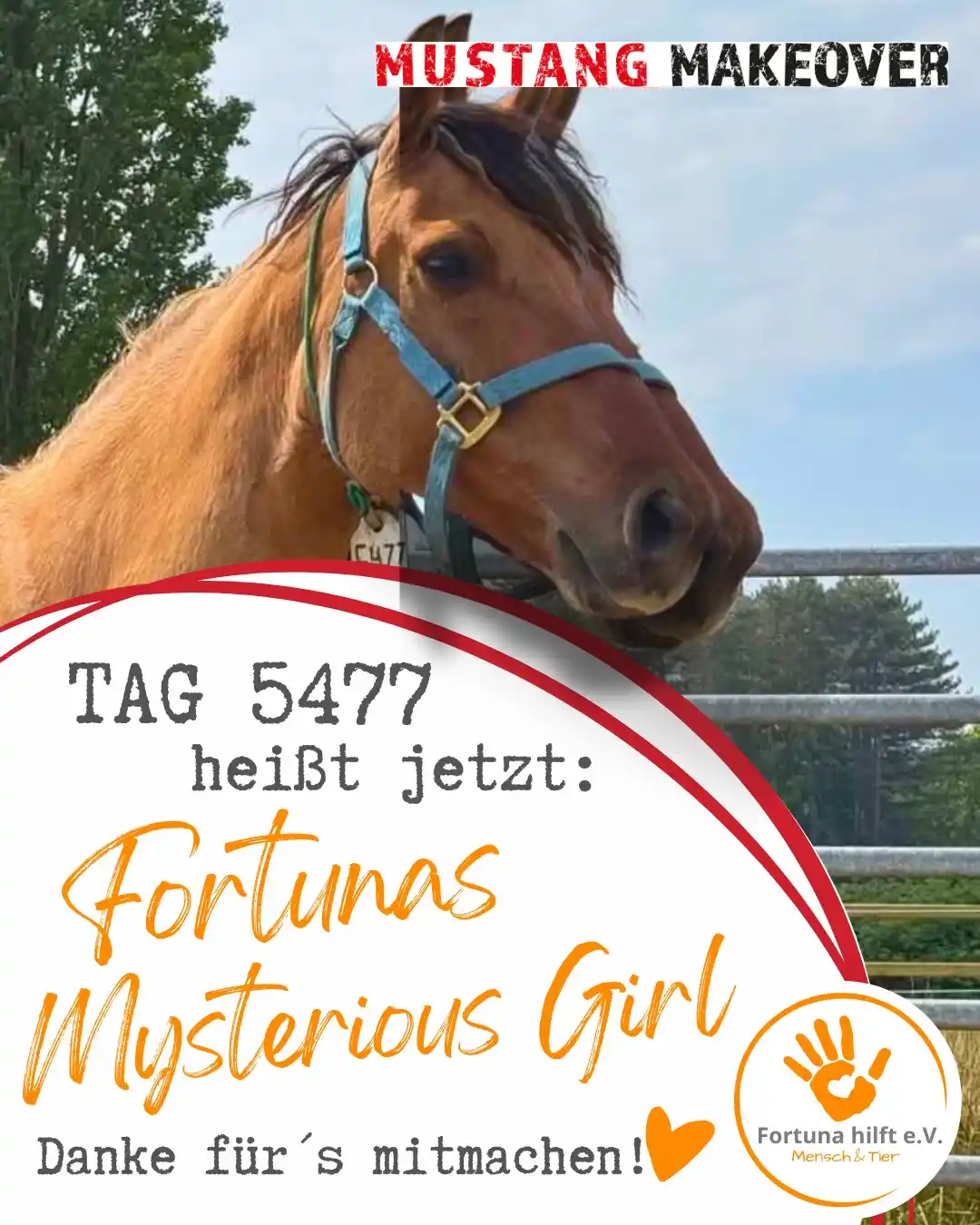 Fortuna hilft e.V. post