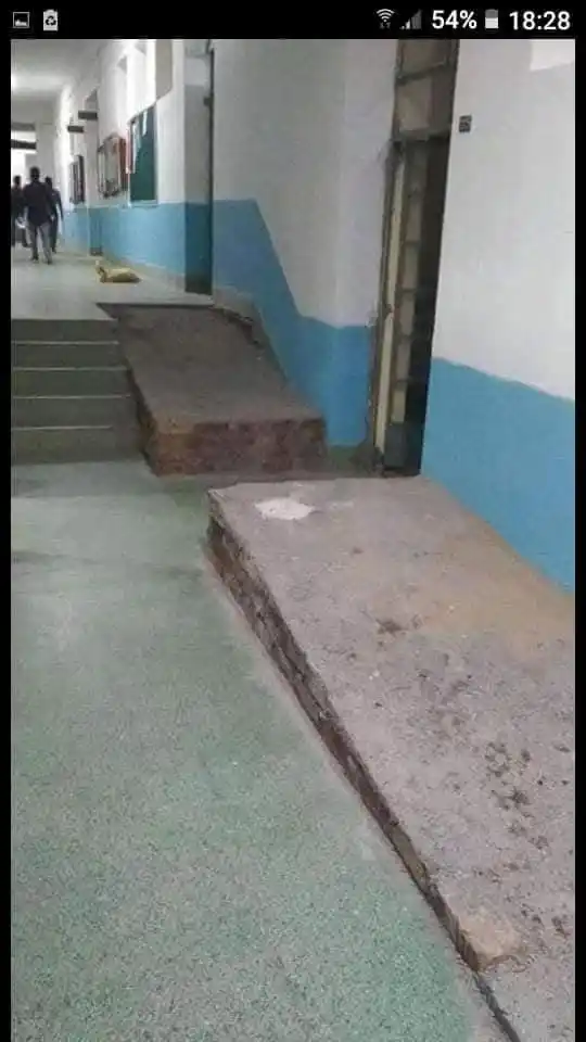 El Meme del Dia post