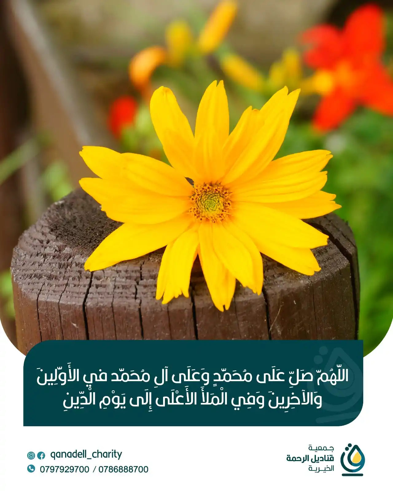Image from جمعية قناديل الرحمة الخيرية: اللهم صلّ وسلم وبارك على نبينا محمد، عدد ما ذكره الذاكرون، وغفل عن ذكر...