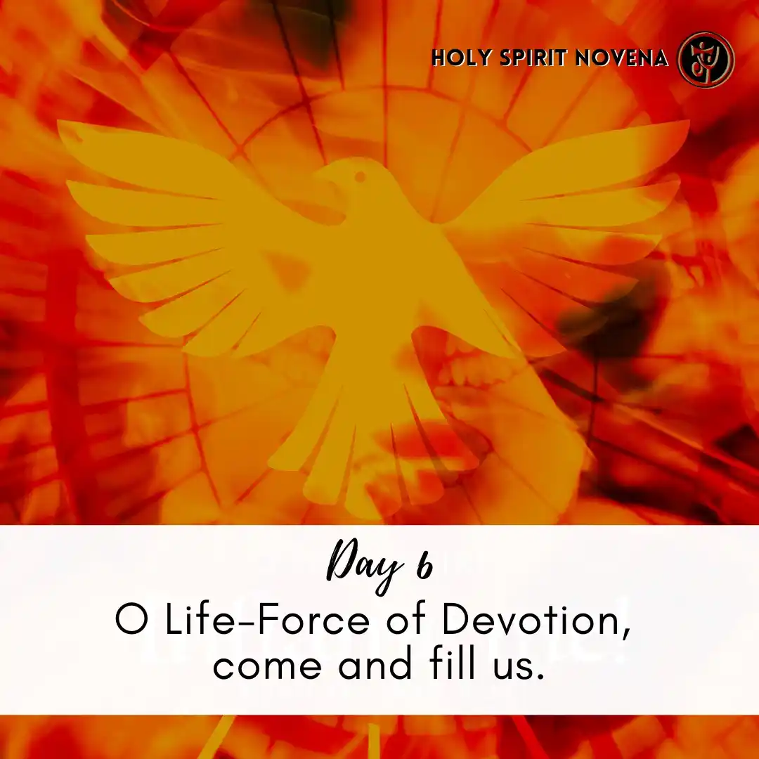 Jesus Youth USA post