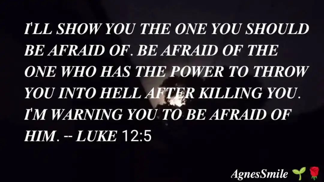 ꧁𝐒𝐌𝐈𝐋𝐄 𝐈𝐋𝐋𝐔𝐌𝐈𝐍𝐀𝐓𝐈𝐍𝐆 𝐇𝐄𝐀𝐑𝐓🌱🌹꧂ post