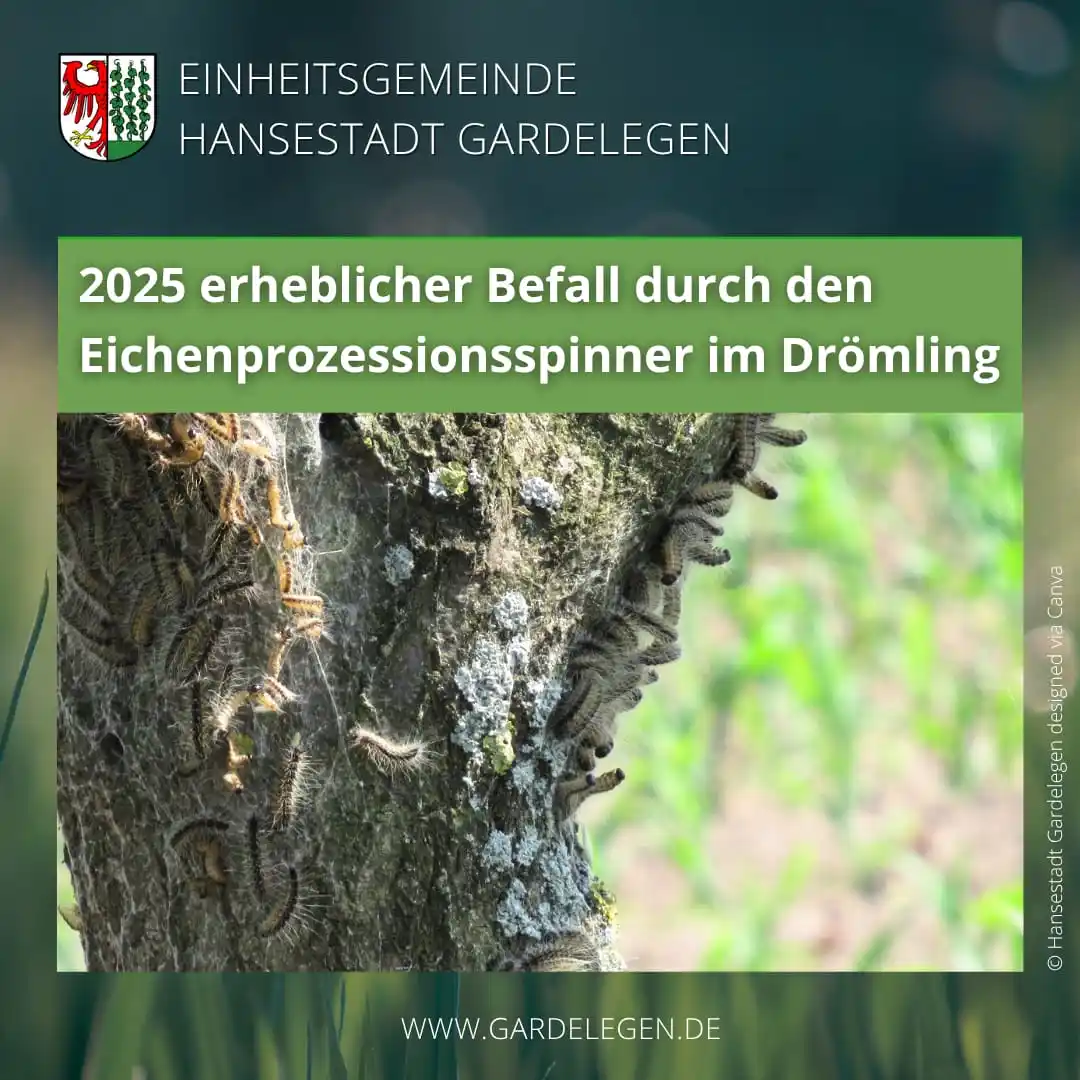 Image from Hansestadt Gardelegen: In diesem Jahr ist bedauerlicherweise trotz biologischer und chemische...
