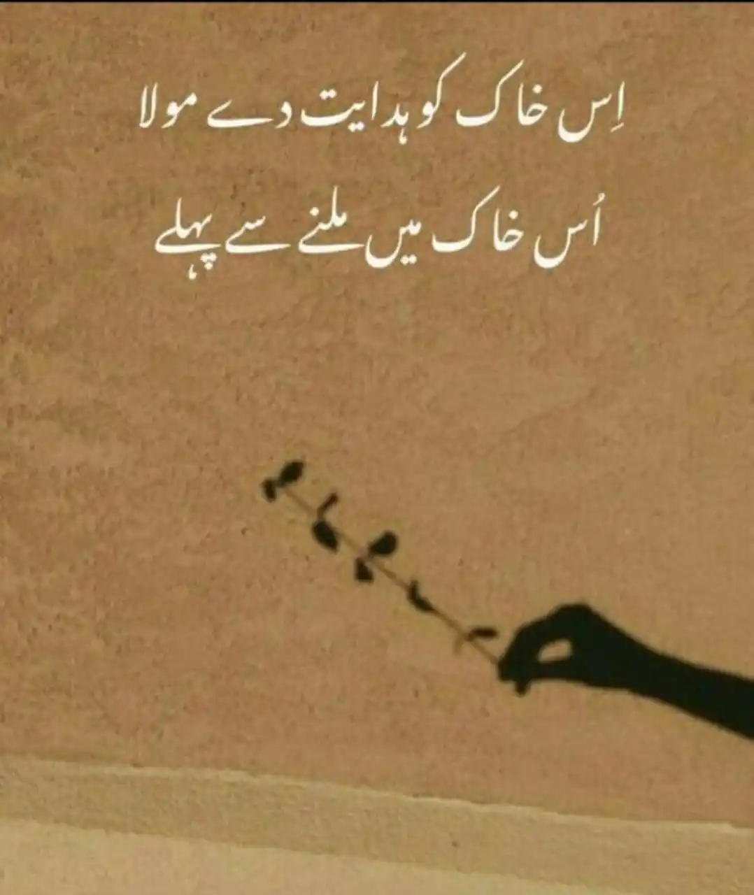 THE WAY OF LEARNING post