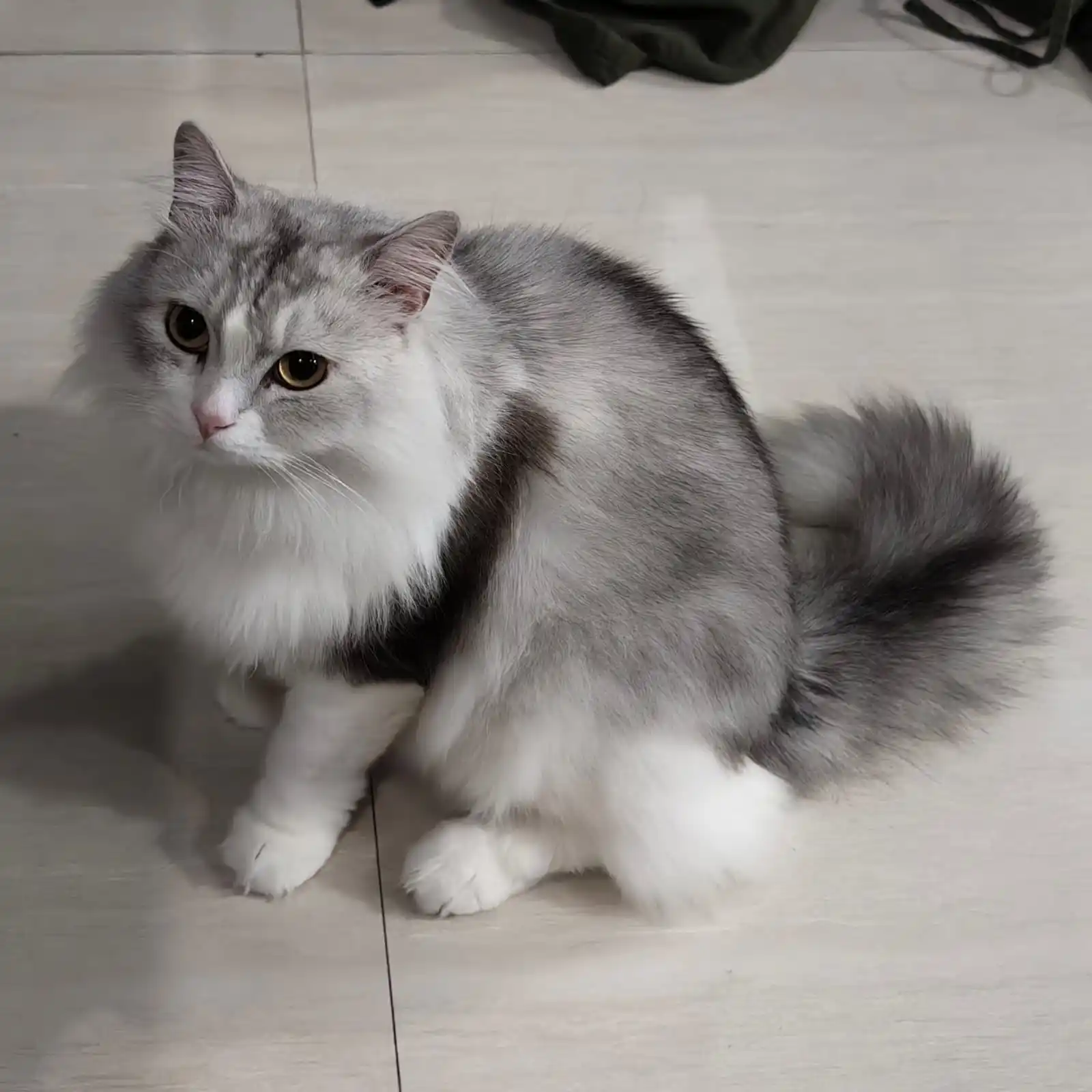 Brutal Entertain post