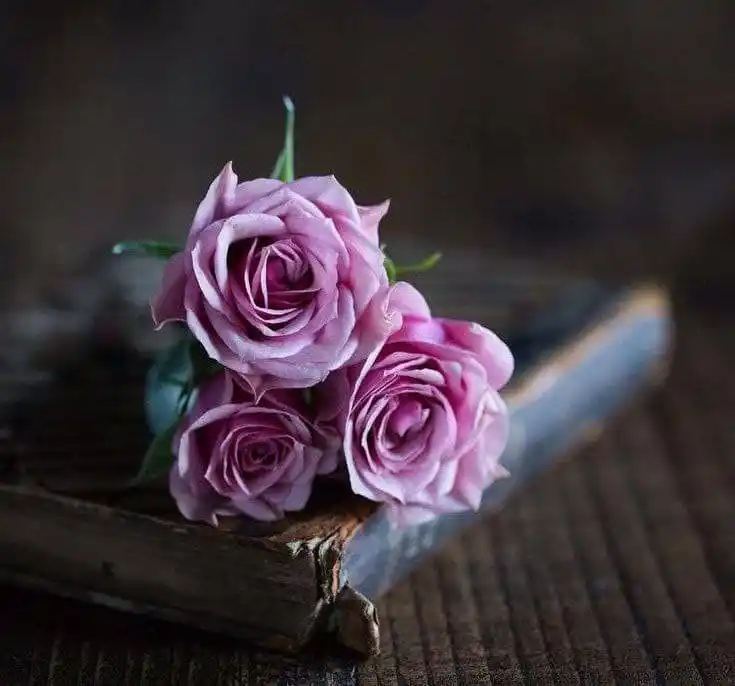 Image from دتروږمۍ مسافر جــــ.هادي چینل☝: (30) *تاسې نن ورځ دا فکر وکړئ چې د جنت دومره ډېر نعمتونه او حورې به ا...