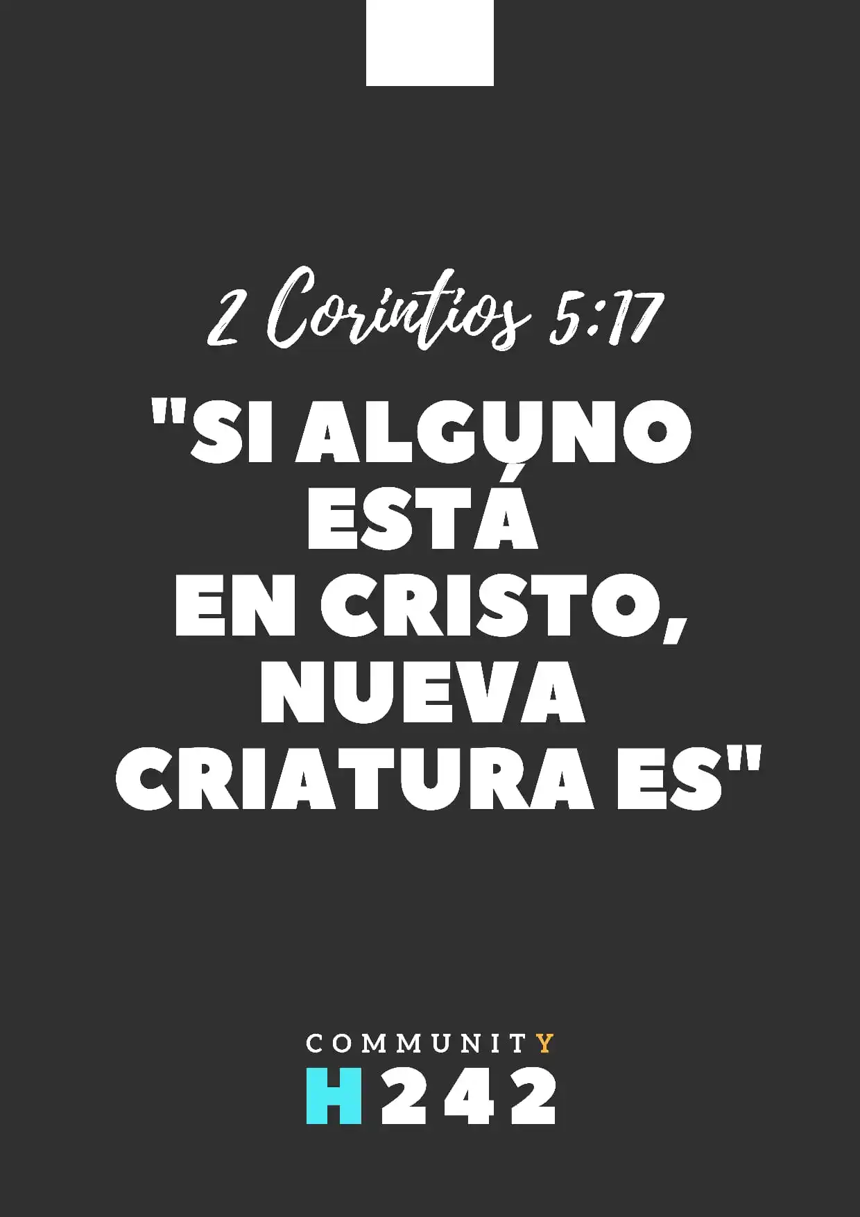 COMMUNITY H242 | 📣 post