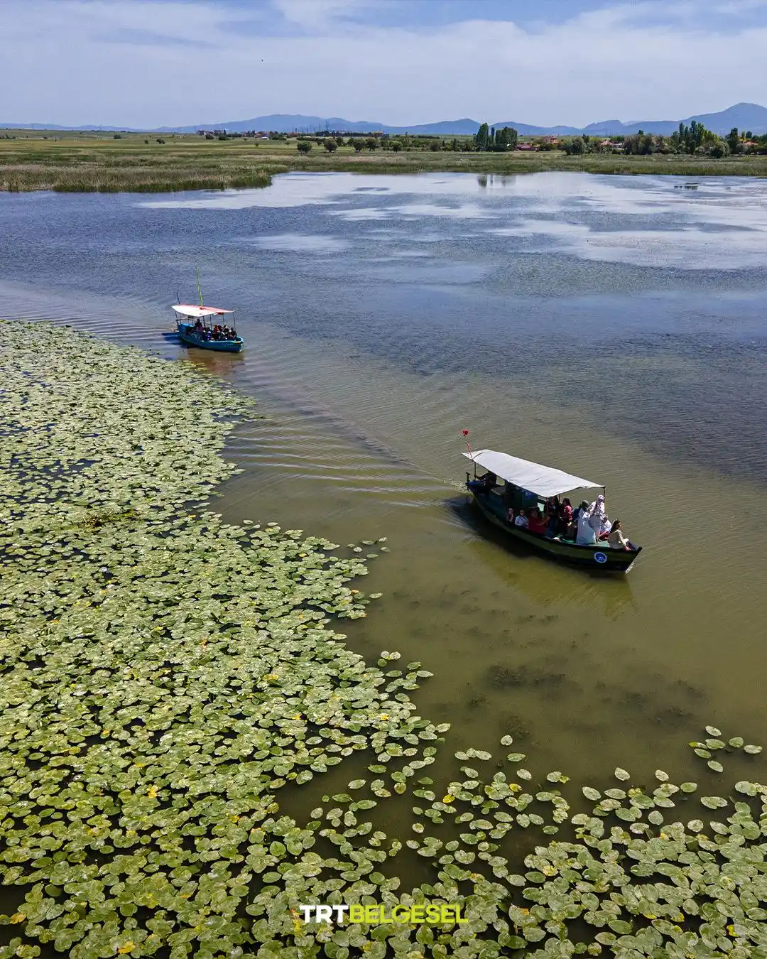 Image from TRT Belgesel: Beyşehir Gölü'nü süsleyen nilüferler 🪷 🏞️ Konya ve Isparta illerine ...