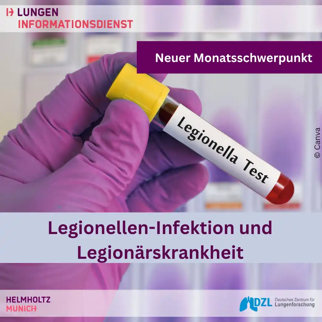 Image from Lungeninfo @Helmholtz Munich: Guten Morgen🌞, habt ihr schon unseren neuen Monatsschwerpunkt gesehe...