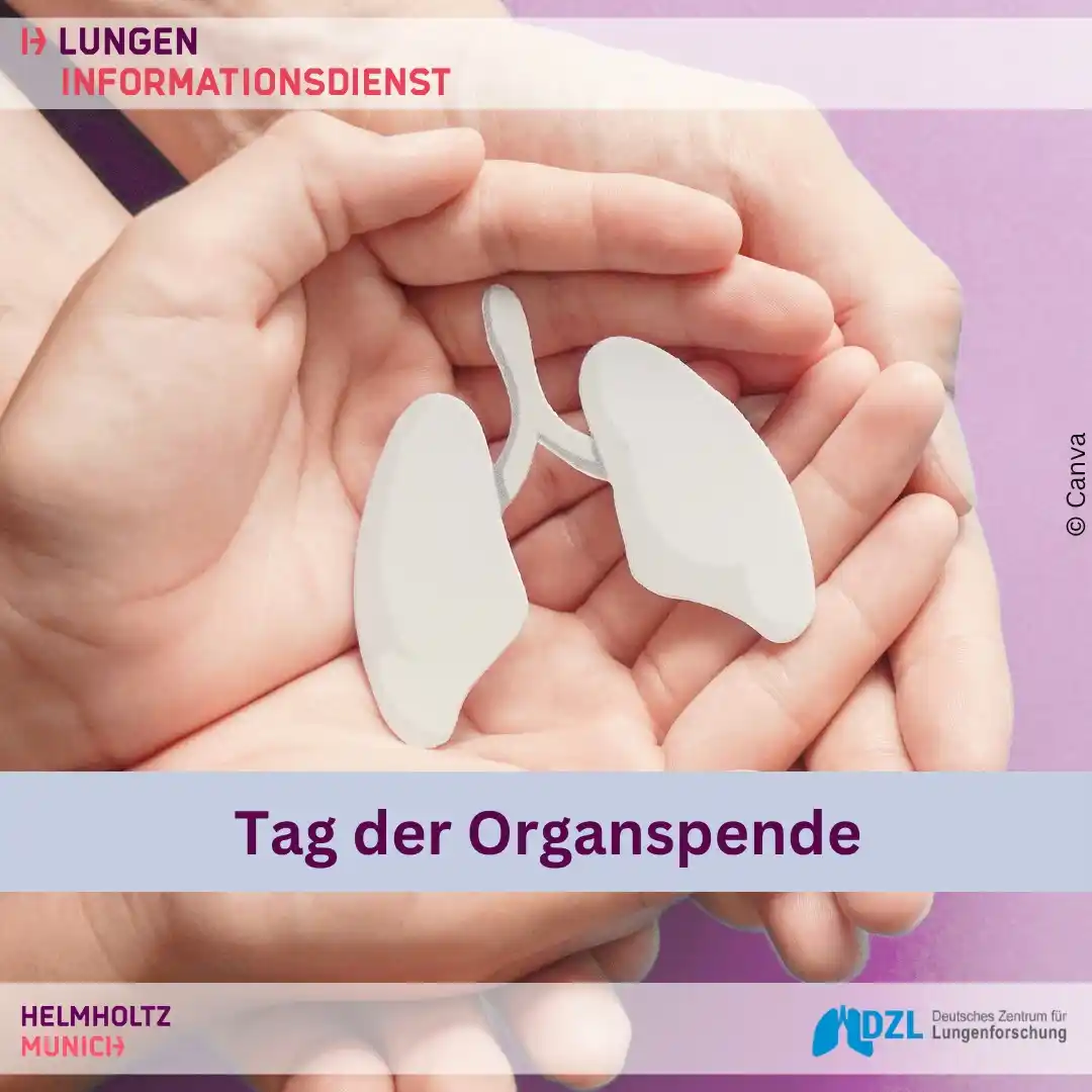 Image from Lungeninfo @Helmholtz Munich: Guten Tag, am kommenden Samstag, den 7. Juni, wird der Tag der Organ...