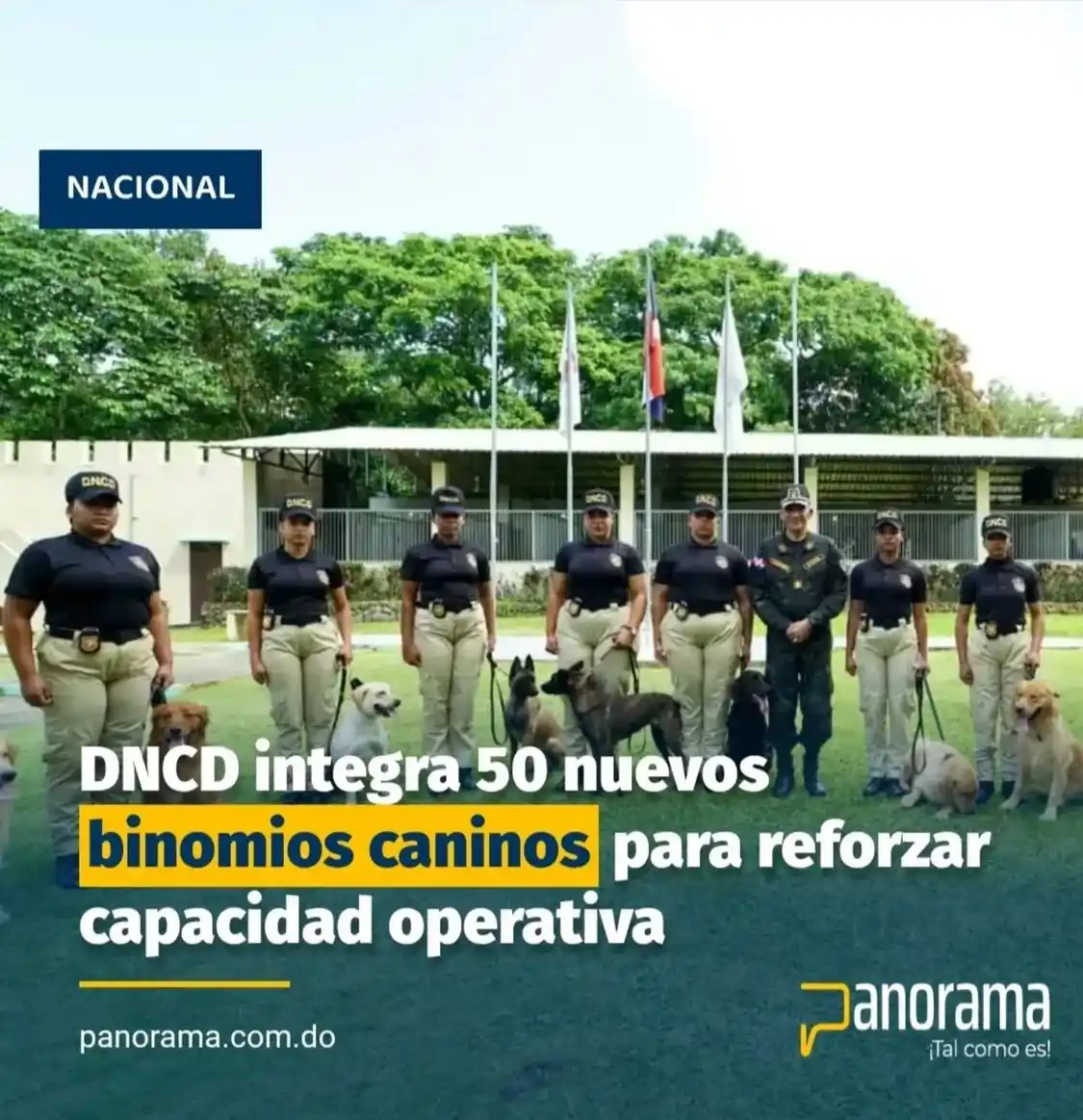 Image from Panorama_do 📰: https://panorama.com.do/dncd-integra-50-nuevos-binomios-caninos-para-r...