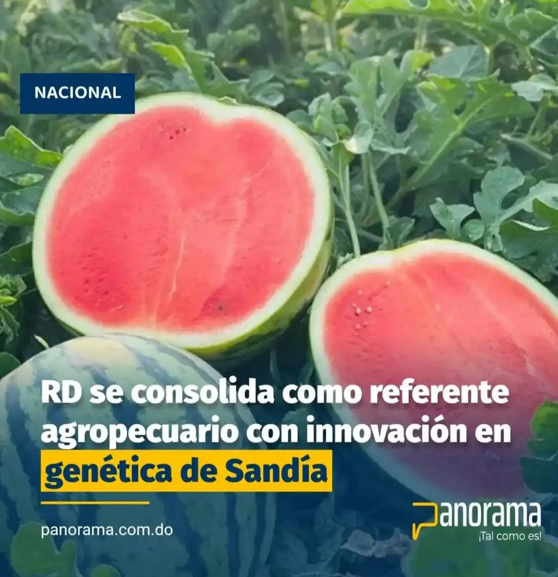 Image from Panorama_do 📰: https://panorama.com.do/rd-se-consolida-como-referente-agropecuario-co...