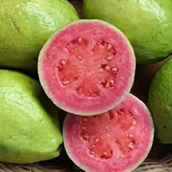 Image from Blessing Health Care: Imagine having a fruit that boosts your immunity, improves your eyesig...