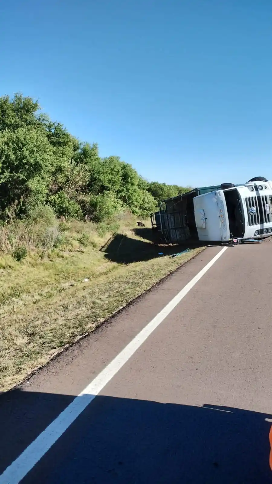 Image from Momento De Noticia 🇺🇾: Marcos Ademar Pereira AHORA  SINIESTRO CARRETERO Camión despista y vue...