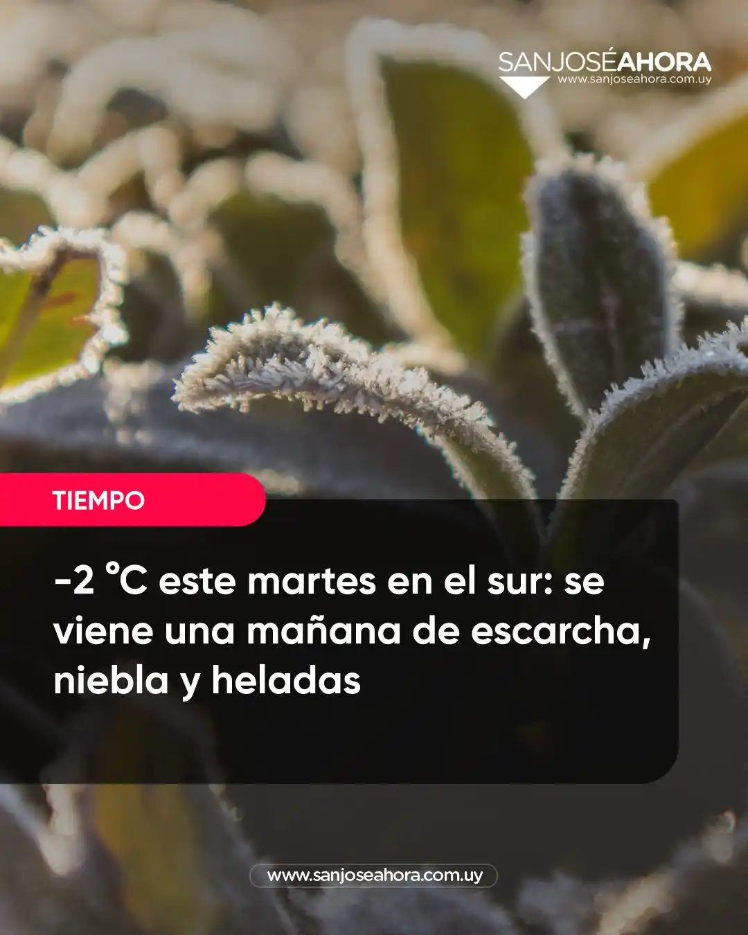 Image from Momento De Noticia 🇺🇾: San José Ahora - @sanjoseahora "X" ❄️ -2 °C este martes en el sur: s...
