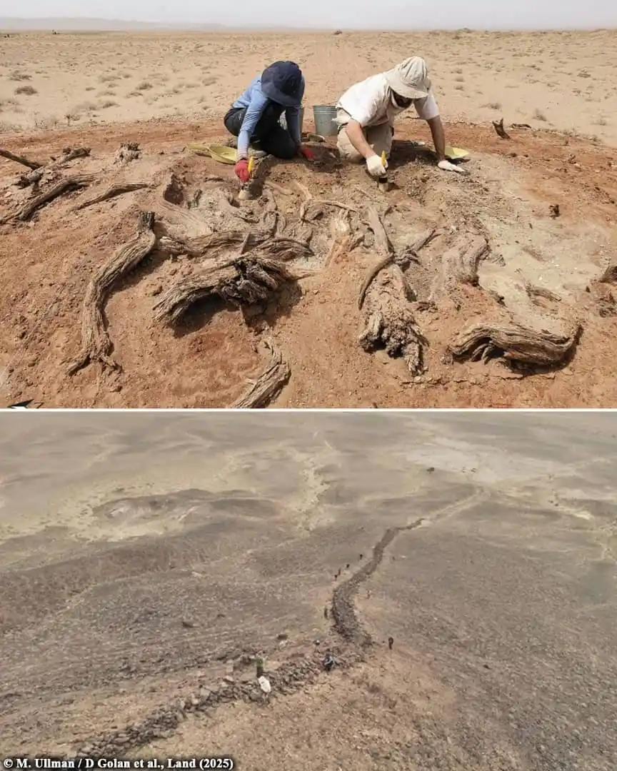 Image from Archaeology News Online Magazine: Secrets of the mysterious Gobi wall revealed: archaeologists uncover i...