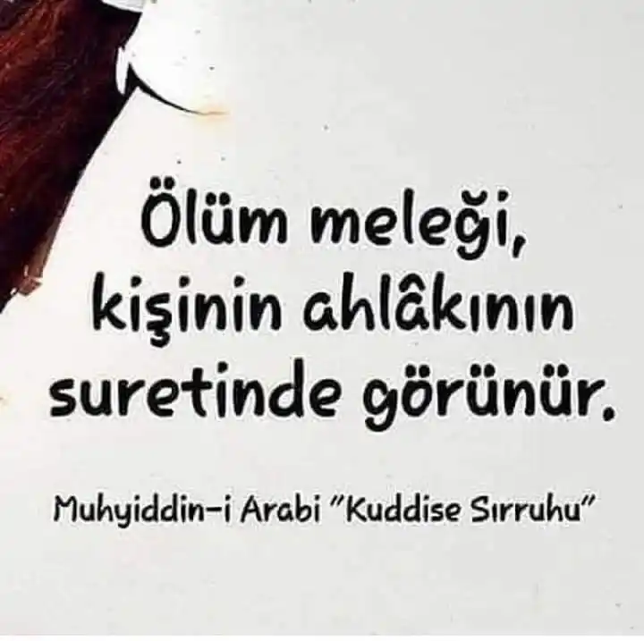 Image from ╭🌎╯SEN NE GARİP BİR YERSİN EY DÜNYA! İNSANLAR İCİNDE, İNSAN ARAR OLDUK!╭🌎╯: ━━━━━━━━━━━ ━━━━━━━━━━━ Ali bin Ebi Talib r.a. şöyle dedi: ...