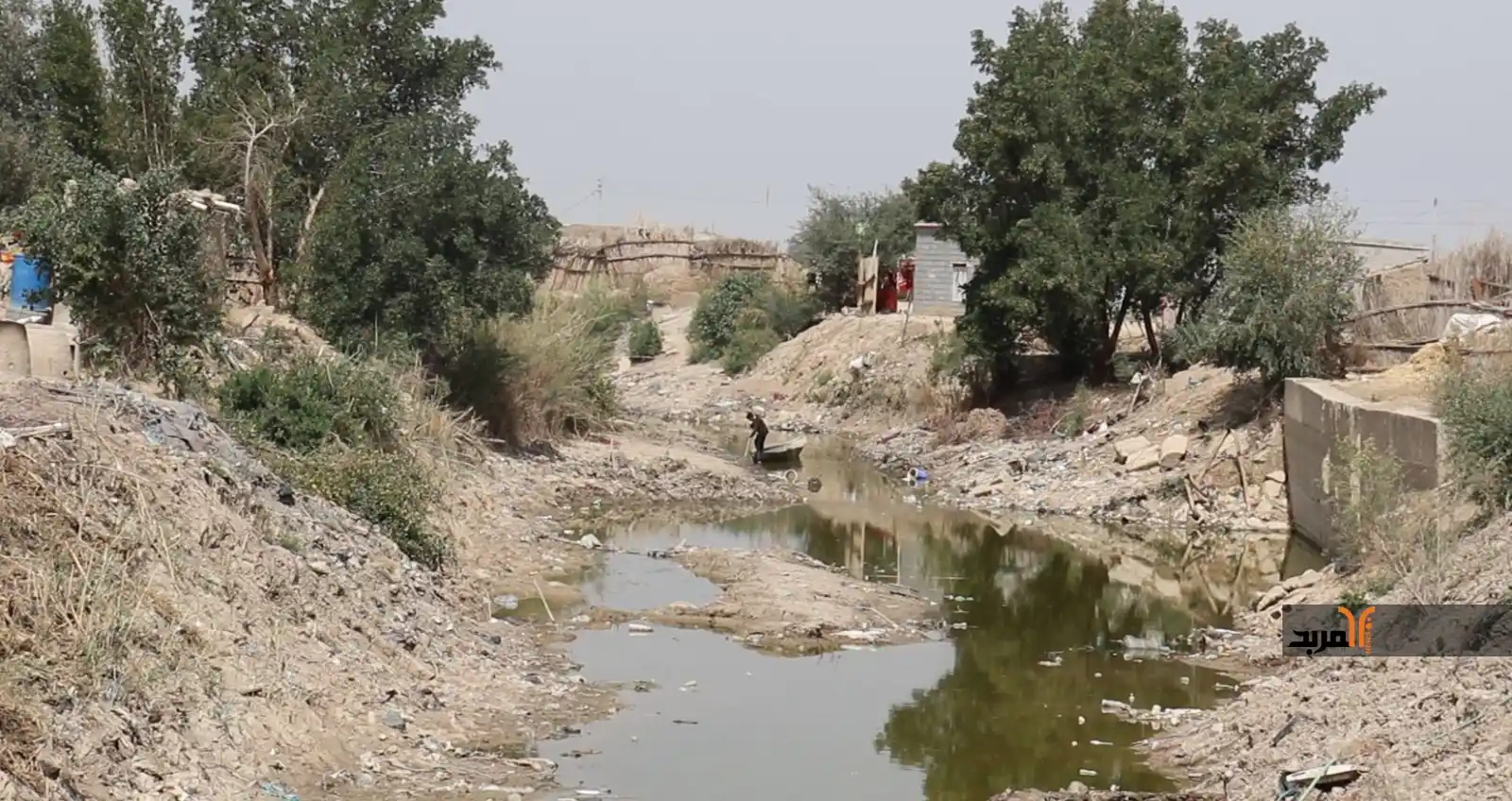 Image from المربد ALMirbad : إنعاش الأهوار في ميسان: نواصل مواجهة تحديات الشحة والتجاوزات https://w...