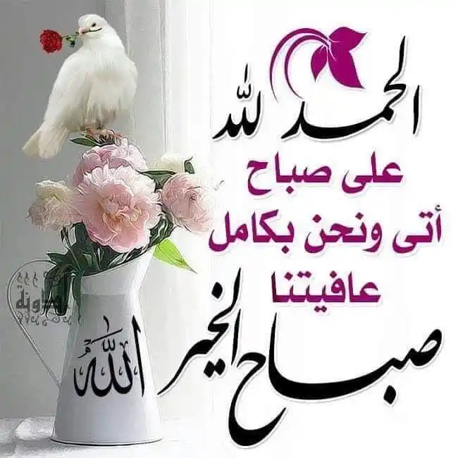 Image from القران الكريم وعلومه 🌺🌺: ☀️ *_إشراقة الصباح_*☀️ وبك أصبحنا والقلوب تسألك عوناً وترجوك لطفاً ، ...