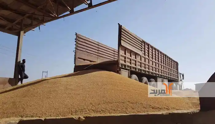 Image from المربد ALMirbad : بعد استلام أكثر من 195 الف طن .. إنتهاء موسم تسويق الحنطة في المثنى ht...