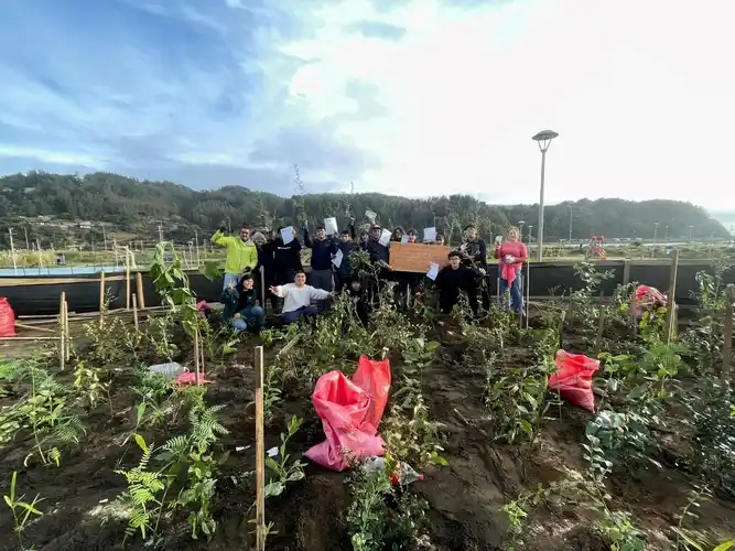 Image from Chillan OnLine: Barrio Las Dunas de Tirúa innova en proyecto de arborización comunitar...