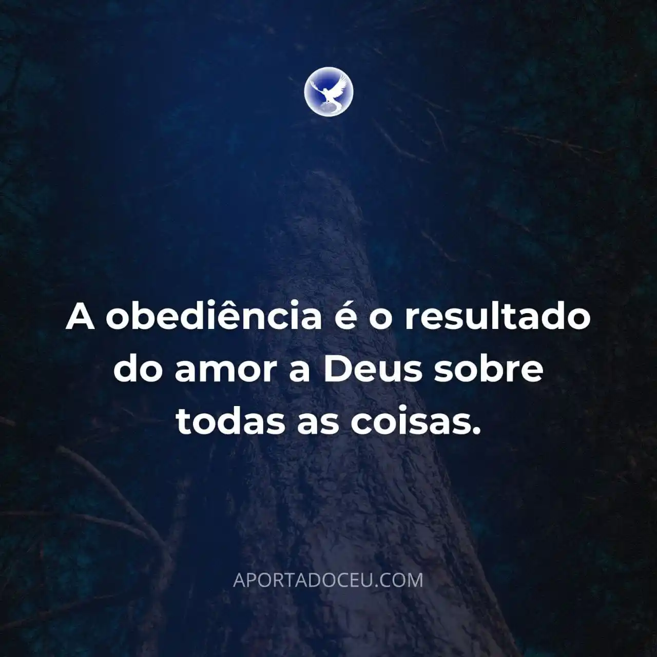 Image from CHAMADO AO ARREPENDIMENTO E SANTIDADE: 🌌 *Boa noite, povo muito amado do SENHOR! Glória a JESUS, O REI da Gl...