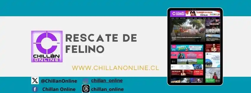 Image from Chillan OnLine: Bomberos Chillán avanza a Luis Araneda y El Rosario Departamentos Enri...