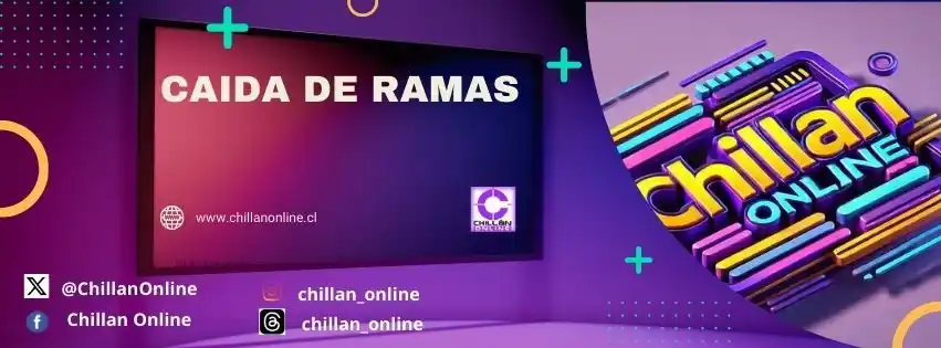 Image from Chillan OnLine: Bomberos Chillán concurre a Los Araucanos y Limari, por caída de rama ...