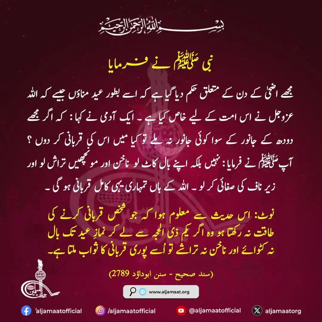 Image from Jamaat ul Muslimeen: نبی ﷺ کو اضحیٰ کے دن کے متعلق حکم <a class="text-blue-500 hover:unde...