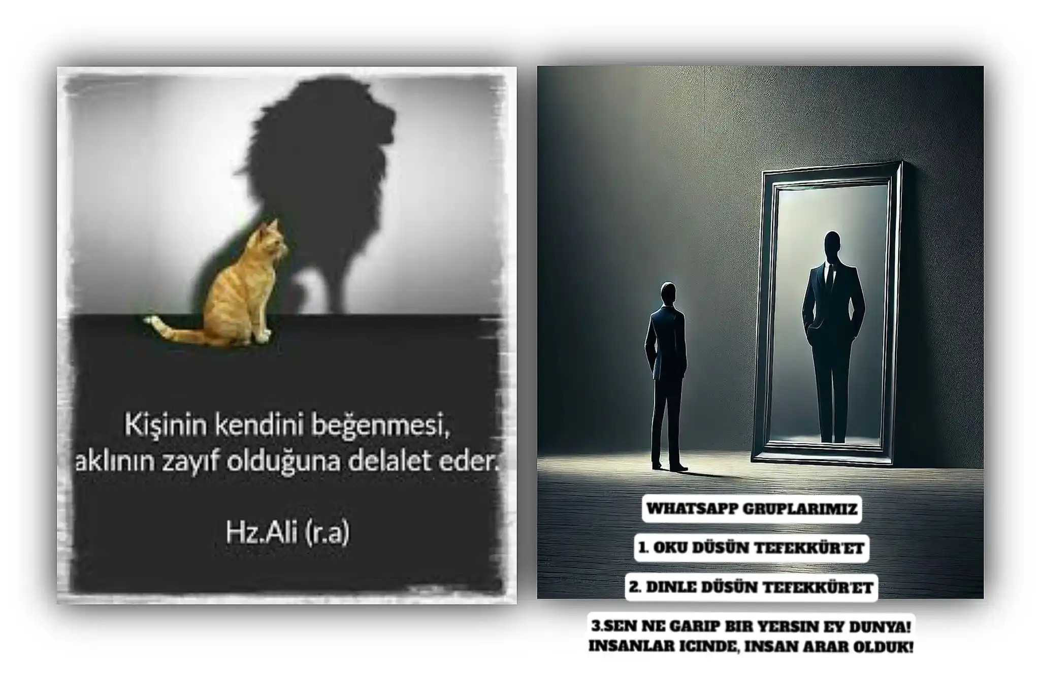 Image from ╭🌎╯SEN NE GARİP BİR YERSİN EY DÜNYA! İNSANLAR İCİNDE, İNSAN ARAR OLDUK!╭🌎╯: ━━━━━━━━━━━          ━━━━━━━━━━━ > Niyetini düzelt, amel kendiliginden...