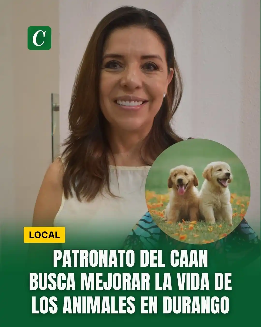 Image from Contexto de Durango : Patronato del CAAN busca mejorar la vida de los animales en Durango 🐾...