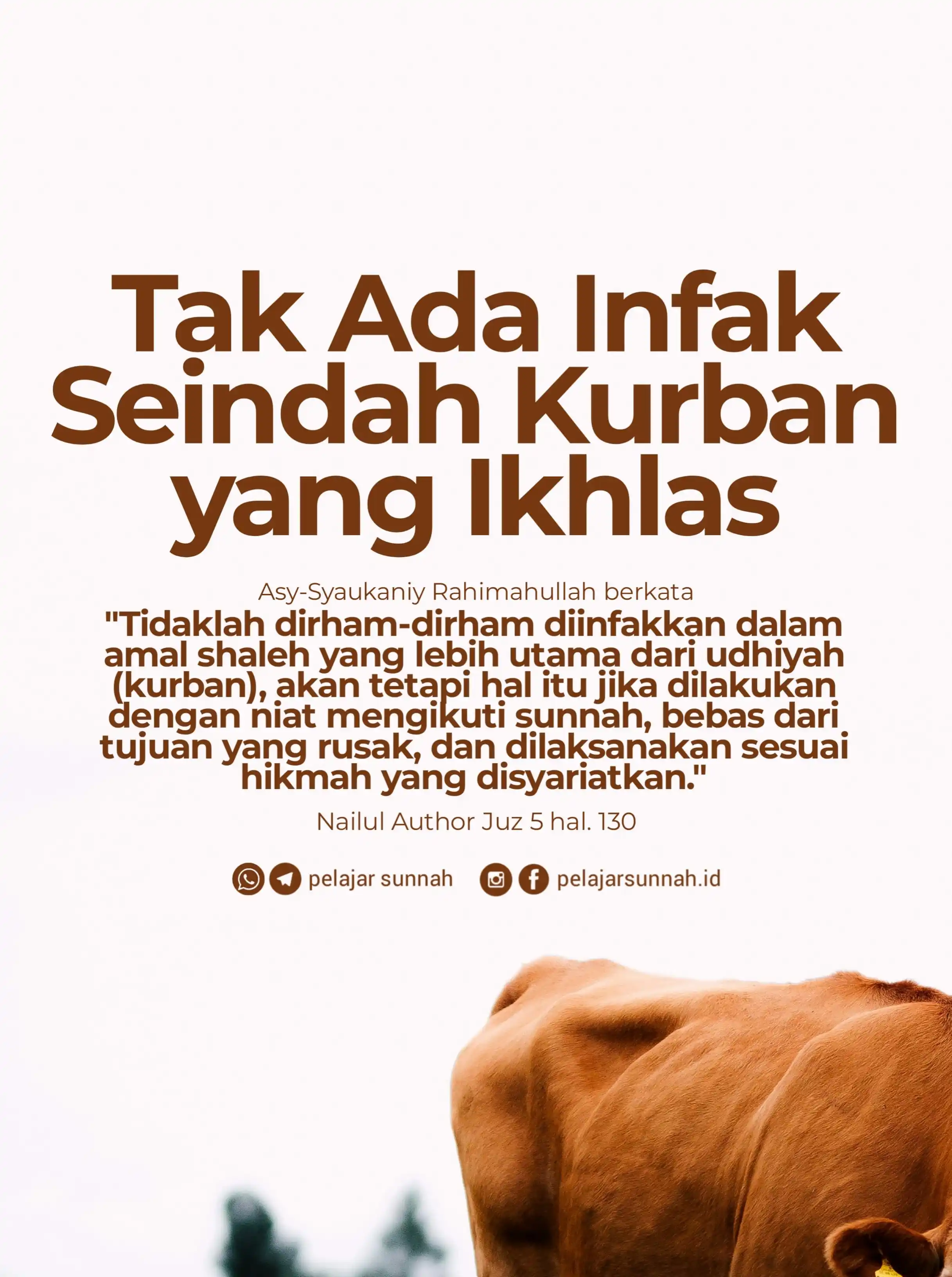Image from PELAJAR SUNNAH: Tak Ada Infak Seindah Kurban yang Ikhlas 🤲🤲💎 Asy-Syaukaniy Rahimah...