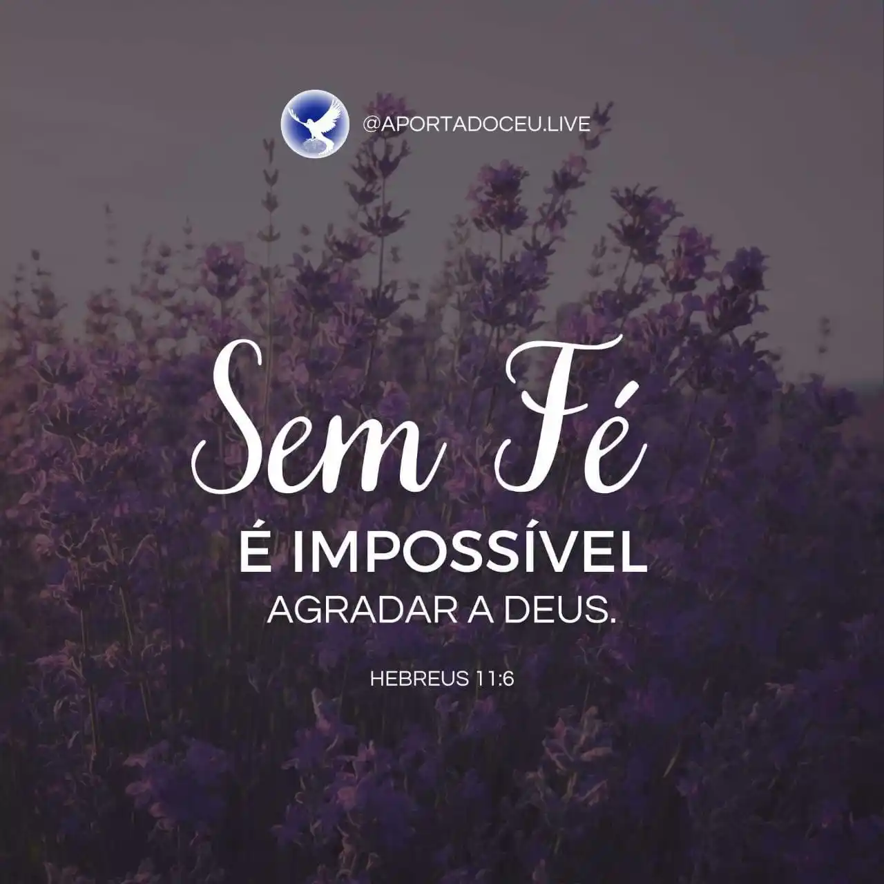 Image from CHAMADO AO ARREPENDIMENTO E SANTIDADE: 🔥 *UMA MENSAGEM PARA NÓS* 🔅 A forma como a igreja vive nesta terra ...