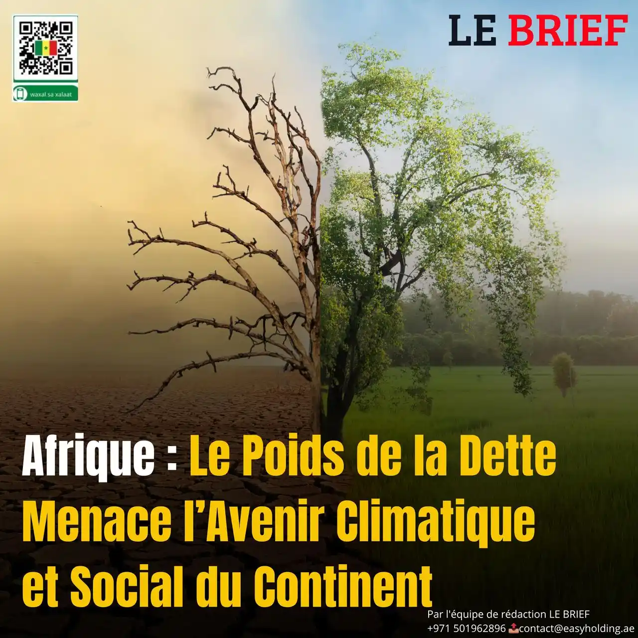 Image from LE BRIEF: 🔴Afrique : Le Poids de la Dette Menace l’Avenir Climatique et Social ...