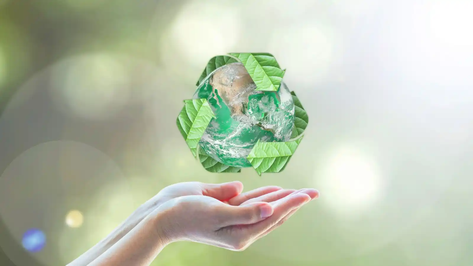 Image from Luceverde Infomobilità Roma: 📣 ♻️ *Avvisi | AMA IL TUO QUARTIERE* Torna la raccolta straordinaria...