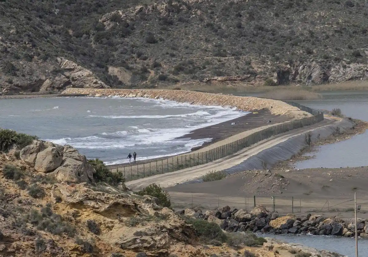 Image from LA VERDAD: 💧 *Científicos de la UMU y la UPCT piden al Ministerio un dragado par...