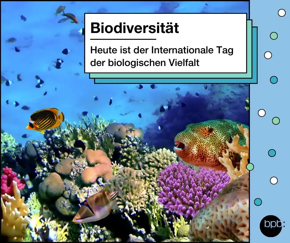 Image from Deine tägliche Dosis Politik: 🌤️ Guten Morgen, heute ist der Internationale Tag der biologischen V...
