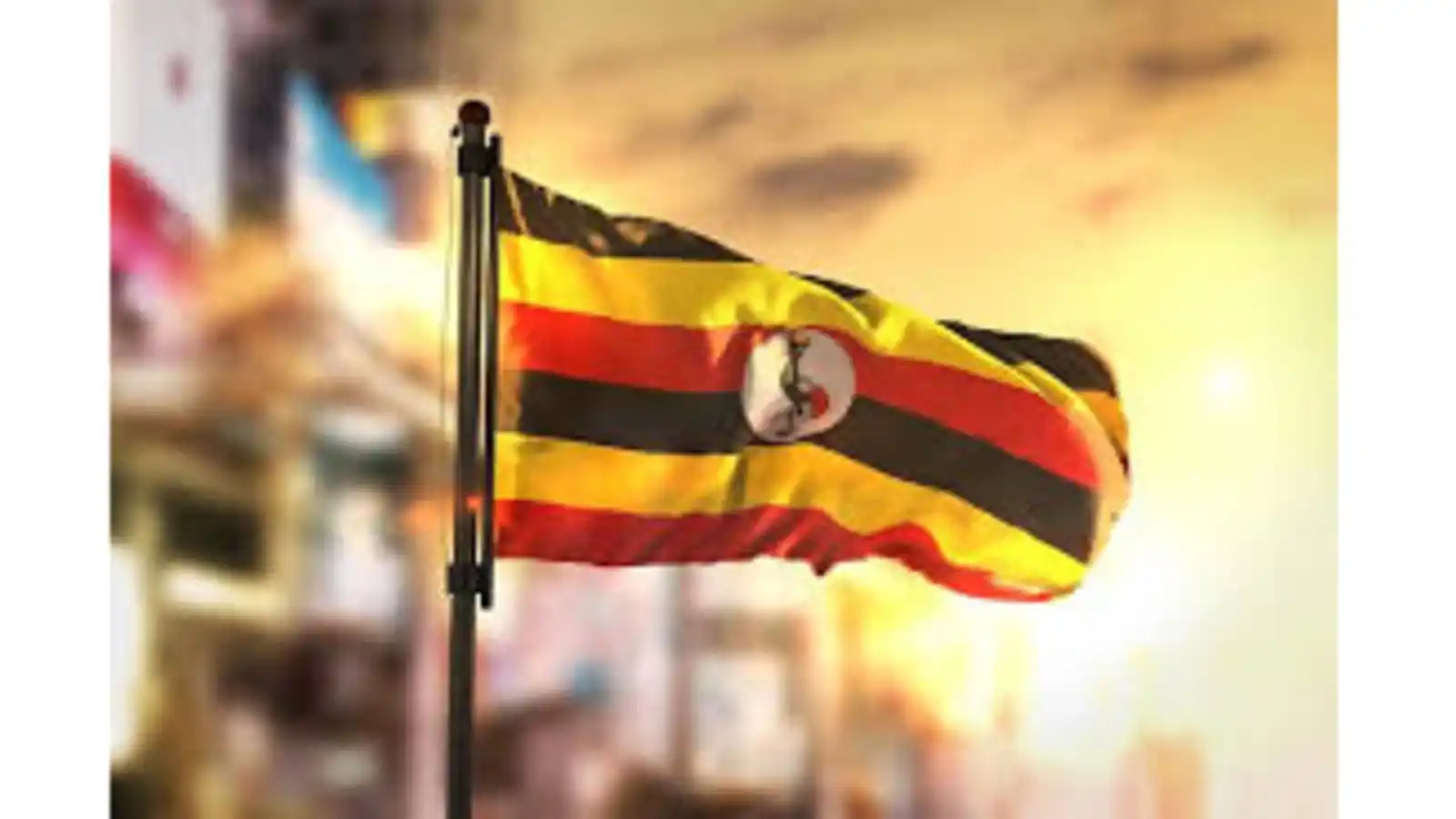 Image from Daily Monitor 🗞️📰: It is time to redefine a hero  The word "hero" is not a noun but an ad...