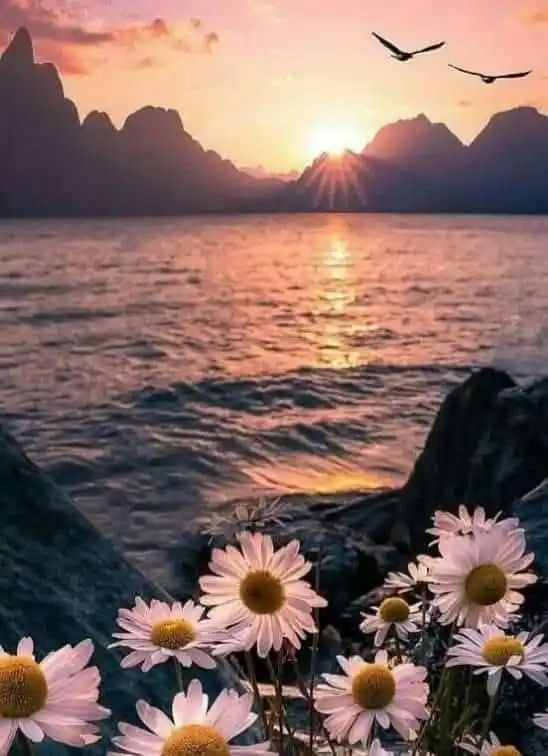 Image from كلمات وخواطر جميله: قل هو الله أحد .. بفضلها يارب لا تكلني الى أحد !! ولا تحوجني الى أحد ....