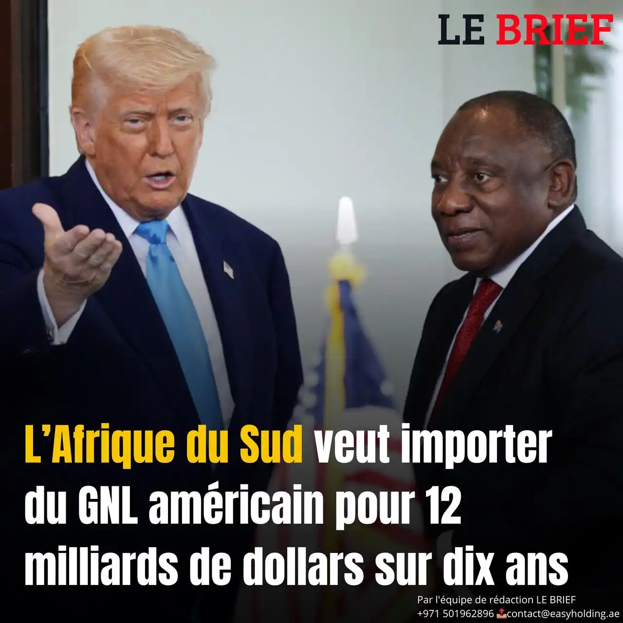 Image from LE BRIEF: 🔴𝐋’𝐀𝐟𝐫𝐢𝐪𝐮𝐞 𝐝𝐮 𝐒𝐮𝐝 𝐯𝐞𝐮𝐭 𝐢𝐦𝐩𝐨𝐫𝐭𝐞𝐫 𝐝𝐮 𝐆𝐍𝐋 ...