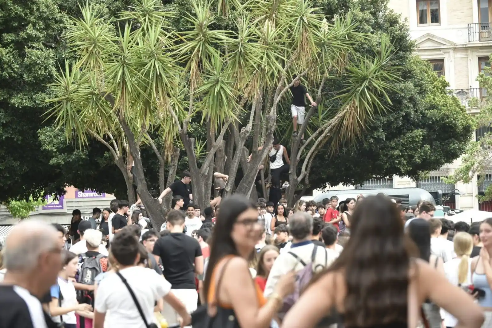 Image from LA VERDAD: 🛴 *Locura en Murcia por la llegada de los 'youtubers' que están recor...