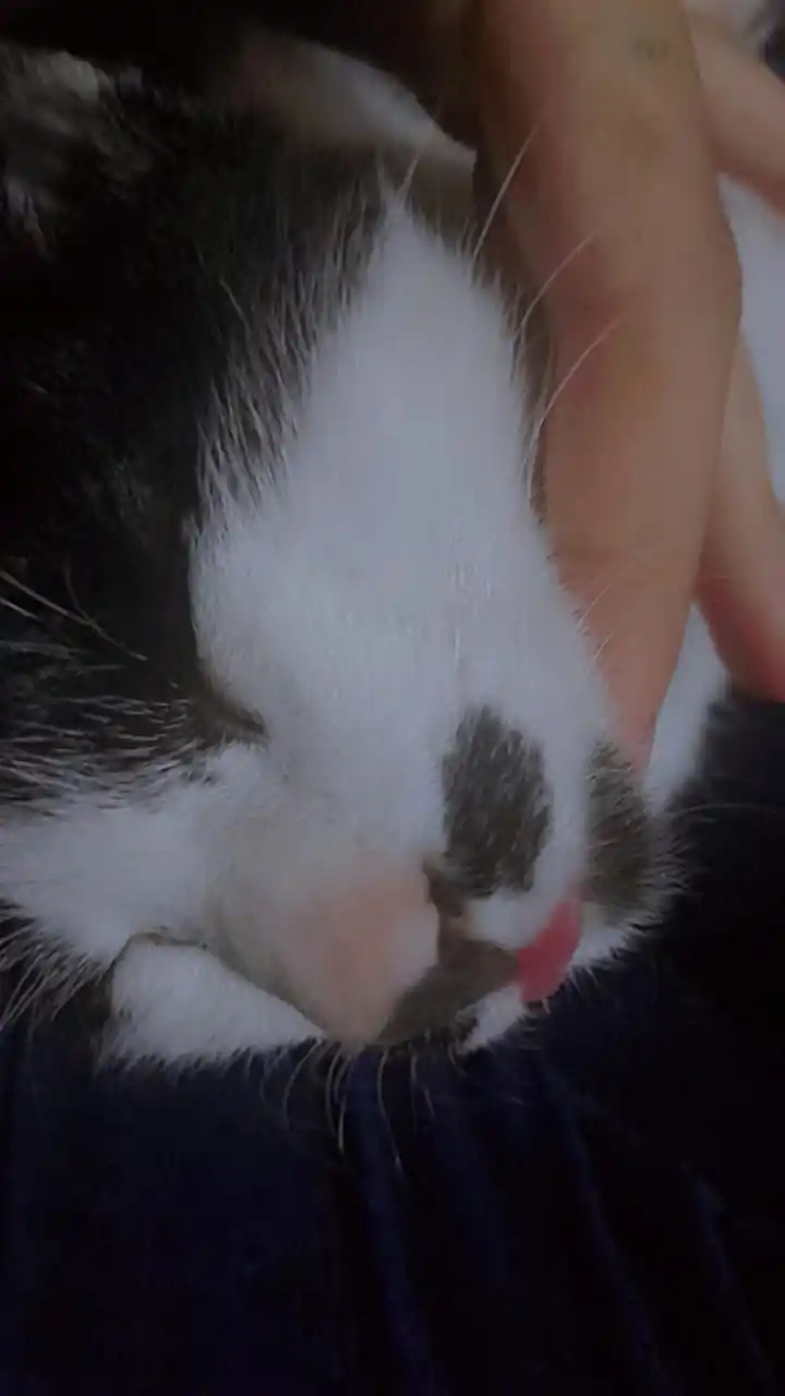 .  ⃝🥢̸᜔᪲   𑁯᳟੭᮫໋   ּ𝝚ׄ᷼υׅ 𝘾ׅlɑᩫᰰ𝕣ׂα͟ⴊׄᧉׅᩥᰰɳ𝘁ᩫ࡙ᧉ ׂ𝗗ׅᧉׄაᩘ᷼ⲥׂ𝗼ׅրׄƒ𝕠͟𝗋ɫ𝗮ѵׂ̤ᧉׄl  ू🥡̸໋̤  ₍ׅᐢ ︧ ︨᪲ ׅᐢֵ₎ post