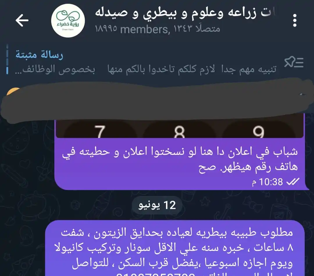 Image from Veterinary Jobs🐾: مطلوب طبيبه بيطريه https://t.me/http54390/7006...