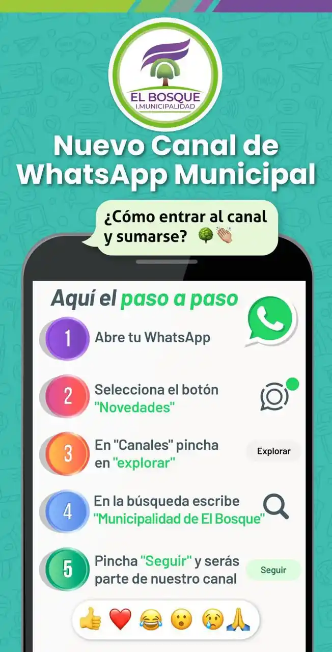 Municipalidad de El Bosque post
