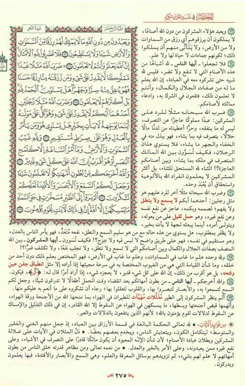 Image from مبادرة قراءة التفسير المختصر📚: ﴿وَیَعۡبُدُونَ مِن دُونِ ٱللَّهِ مَا لَا یَمۡلِكُ لَهُمۡ رِزۡقࣰا...﴾ �...