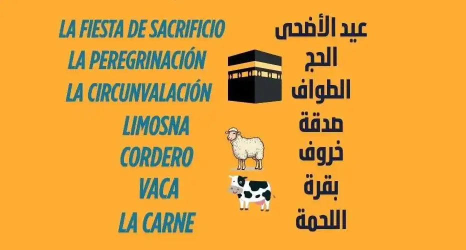 Almirante en Español (Amir Ayman) ♥️🇪🇦 post