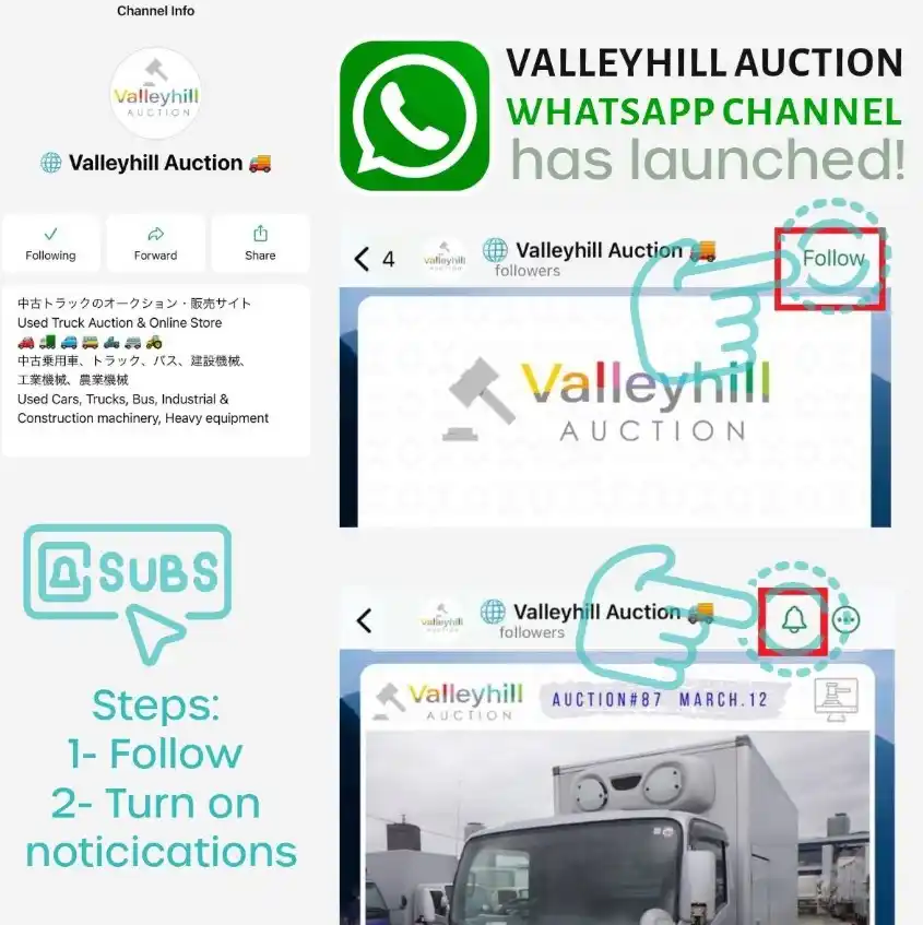 🌐 Valleyhill Auction 🚚 post