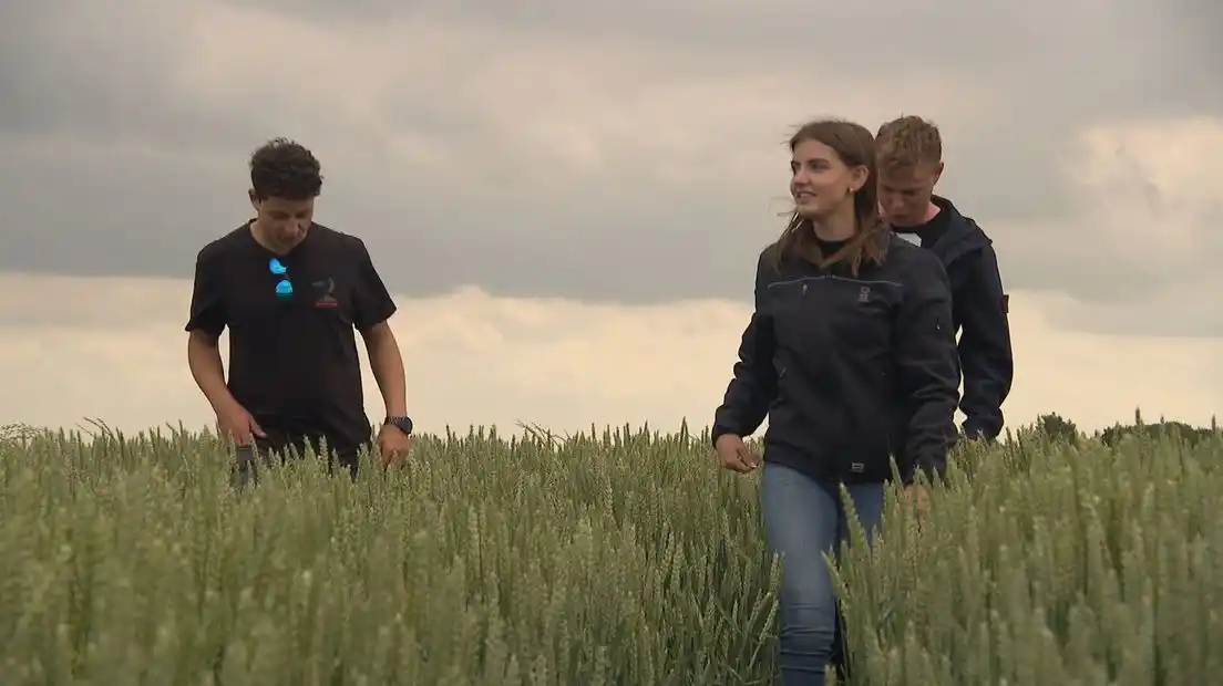 Image from Omroep Zeeland: 8 miljoen voor de Zeeuwse mbo-scholen Scalda en het Hoornbeeck College...
