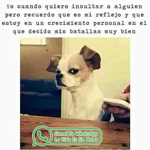 La Vida Es Un Meme 🤡 post