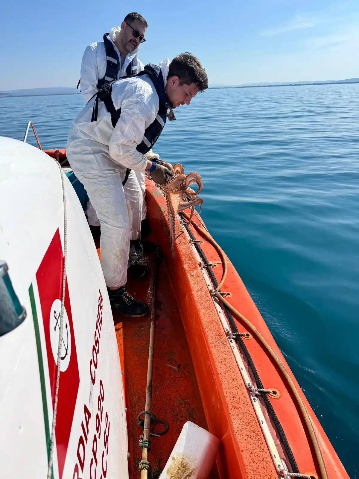 Image from Guardia Costiera 🇮🇹⚓️: *Ancora un’attività di controllo della Guardia Costiera contro la pesc...